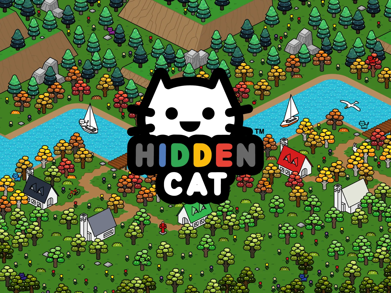 HIDDEN CAT